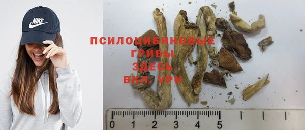 прущая мука Абаза