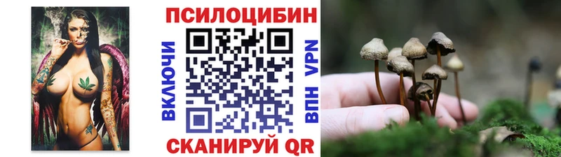 Псилоцибиновые грибы Magic Shrooms  мега как войти  Альметьевск  где купить наркотик 