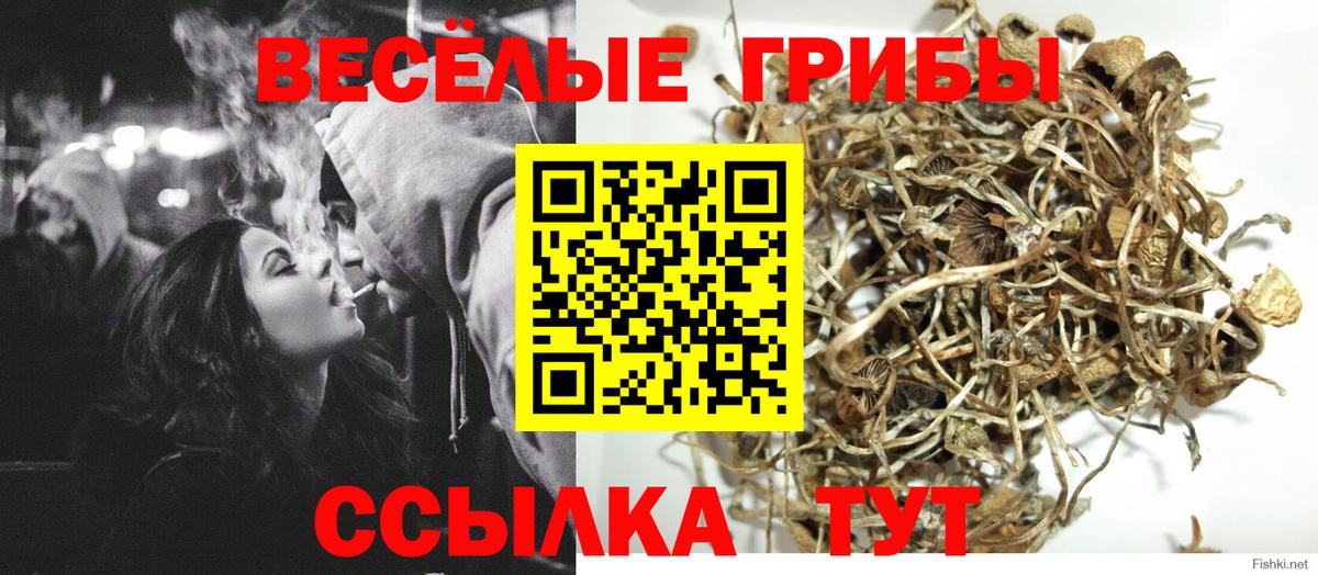 Псилоцибиновые грибы мухоморы  Вход с VPN  Альметьевск 